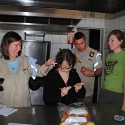 DSC 0144  Small - Scouts en Gidsen Zaventem 